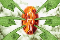 1124221711613 10305332