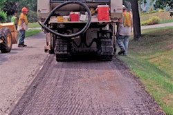 1131401376006 10304146