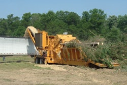 1144780418381 10304816