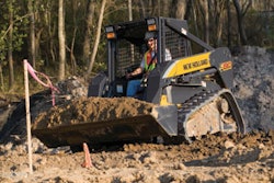 1152810428894 10303394