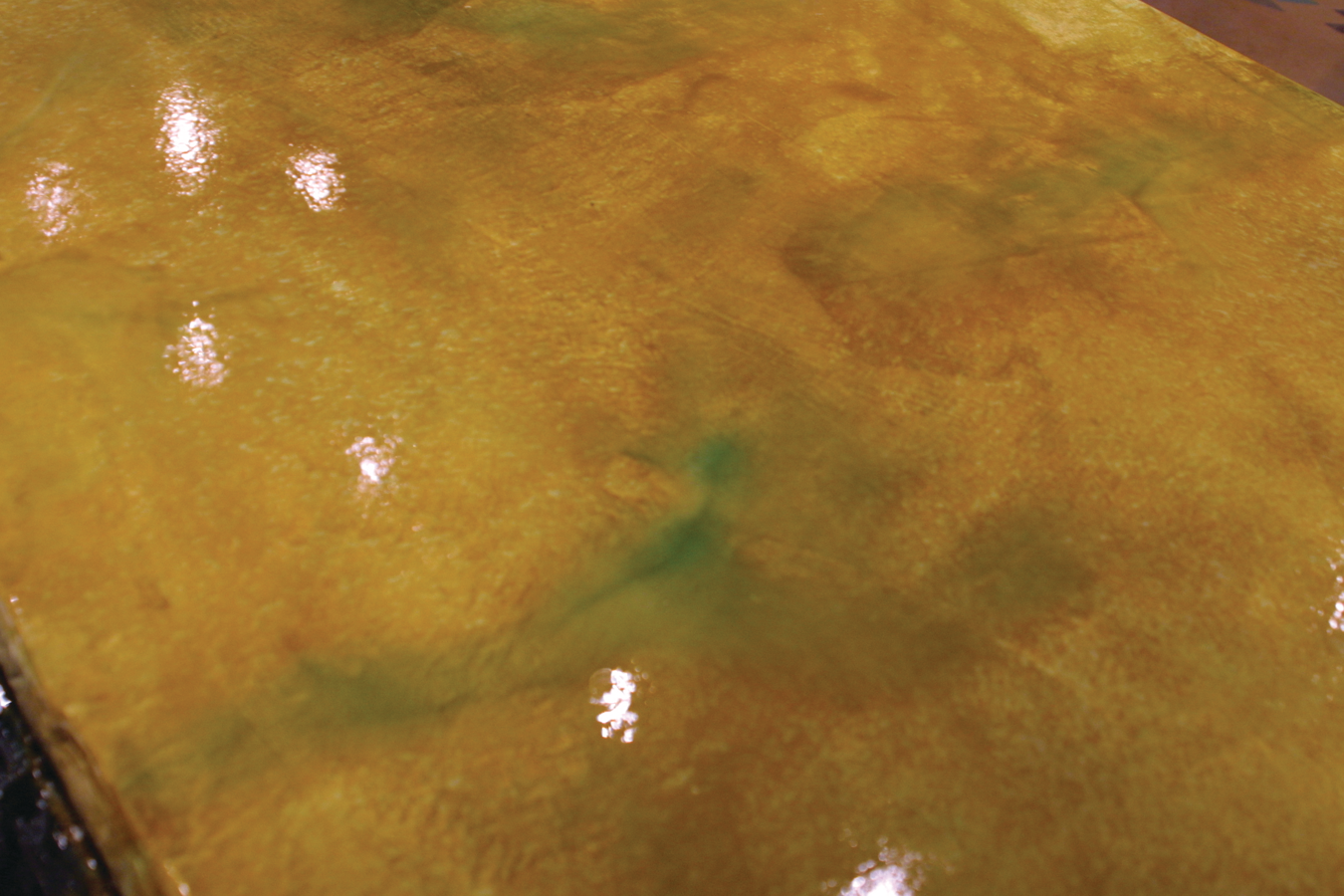 Encounterencolor 10085230