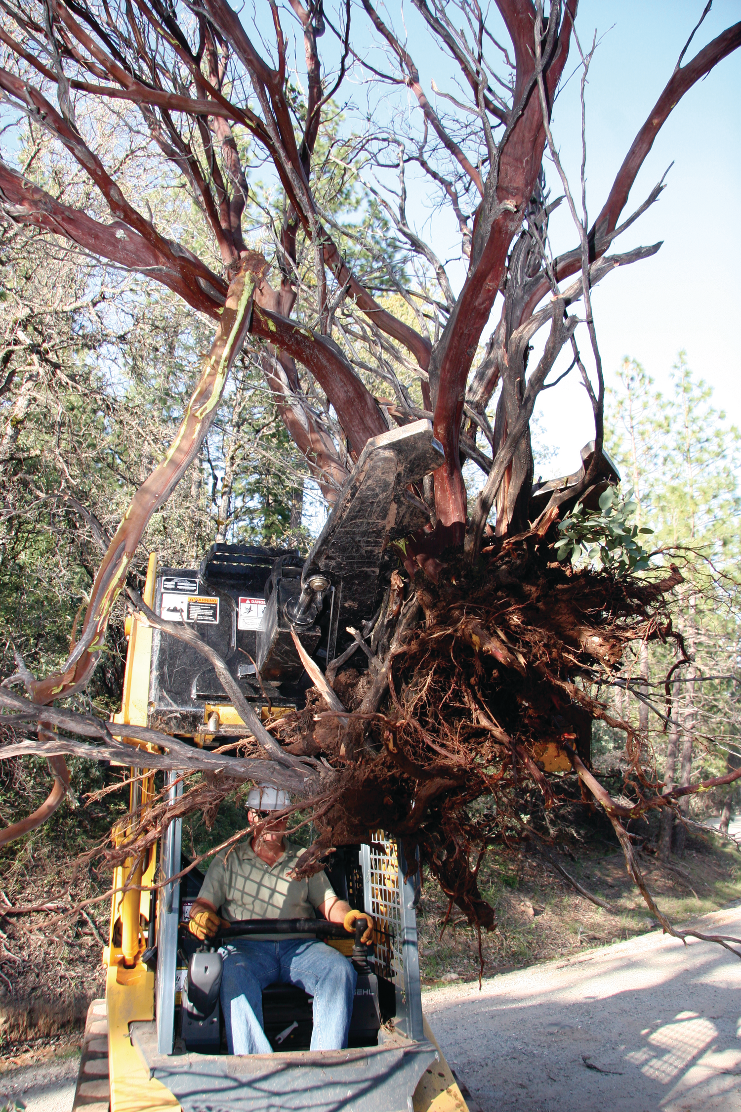 Grabbingtool 10086537