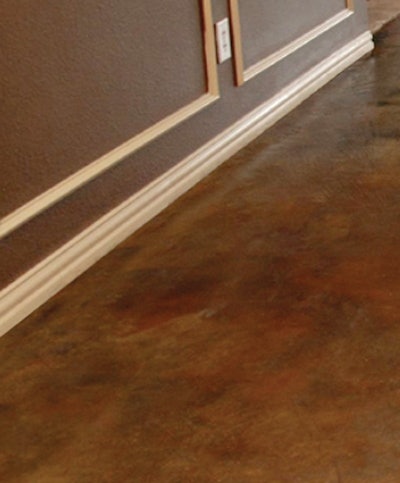 Rhinoecostain 10081062