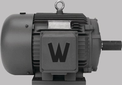 Motors 10081445