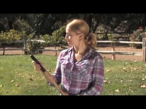 Hqdefault 10785155 jpg