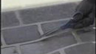 Mqdefault 10817125 jpg