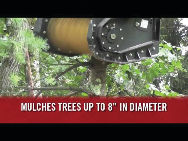 Sddefault jpg 10838935