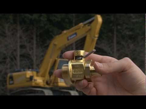 Hqdefault 10880873 jpg