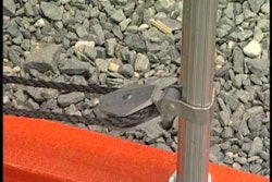 Hqdefault 10889090 jpg