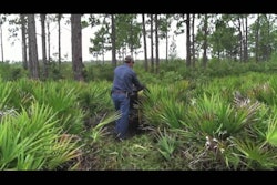 Sddefault 10911341 jpg