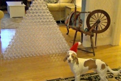 Sddefault 11284312 jpg