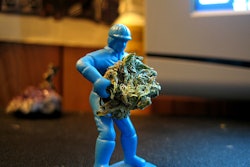 Construction Marijuana