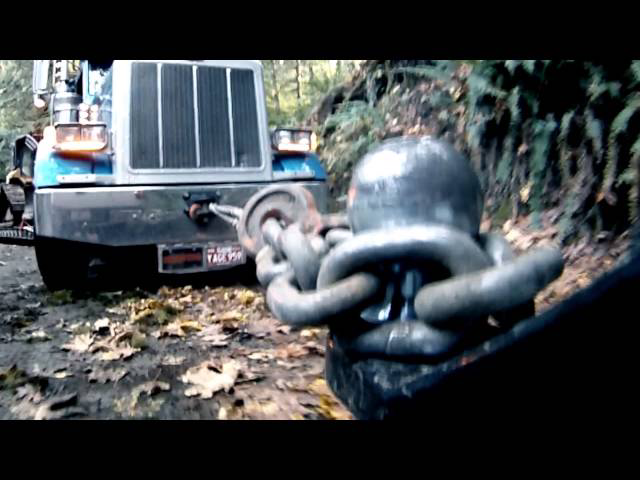 Sddefault 11302804 jpg