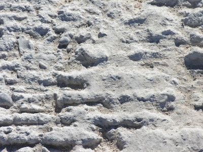 Figure 3: Photograph of a crusted pavement that was placed in summer.