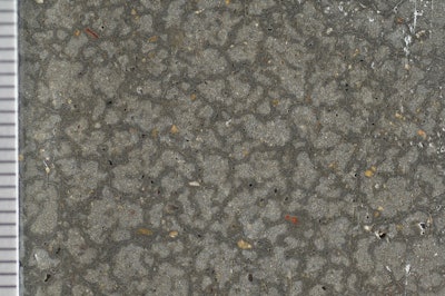 Figure 4: Photograph of the top surface of a core extracted from a delaminated slab showing crazing cracks after the application of acetone to the surface. (Scale is in millimeters.)