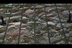 Sddefault 11502414 jpg