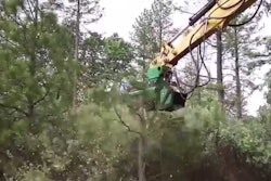 Video: Valley Tool Rockhound FX36 Defender Forestry Mulcher In Action