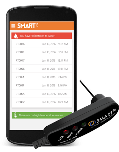 smartie image 5783ac22c0d1b