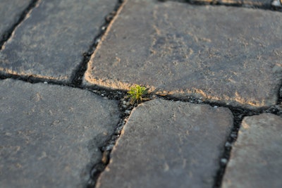 Imre Tomosvari Ldp Nx P Uo R 0 Unsplash
