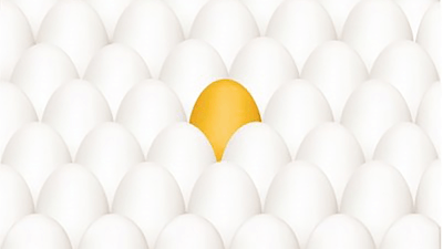 Differentiate Golden Egg Free Digital Photos