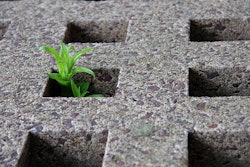 Recycled concrete performs as well as traditional