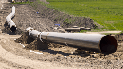 Adobe Stock 263386048