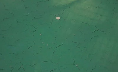 Low density can cause these types of hairline cracks to the mat. If it isn't fixed, these cracks will show through the surface coating causing court failure.