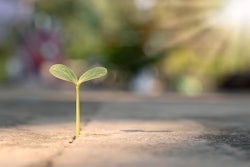 6 Ways Concrete Be More Sustainable