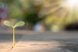 Adobe Stock 416419180