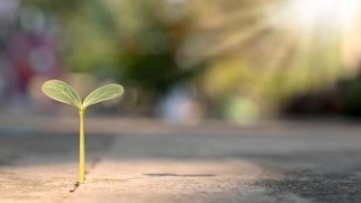 Adobe Stock 416419180