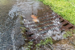 Adobe Stock 113020126