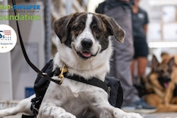 K9 Fundraising Campaign Social Pavement Maintenance Post