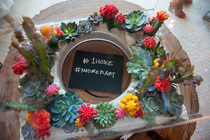 A floating terrarium installation by Plant the Future incorporated succulents and other flora set in sand. It overlooked a chalkboard that was marked with relevant event hashtags.