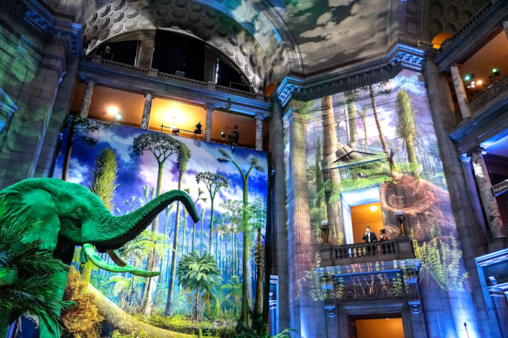 The Smithsonian National Museum of Natural History reopened its fossil hall in June after a five-year, $110 million renovation. To celebrate, the museum held a private donor dinner as well as a grand opening cocktail reception. Vivid projections and a printed mural transformed the rotunda space, recalling an ancient ecosystem. They framed a doorway and balcony from which speakers addressed the guests. The event was designed by Silver Lining Design Group. See more: Prehistoric Party: How the Smithsonian Celebrated Its Renovated Fossil Hall