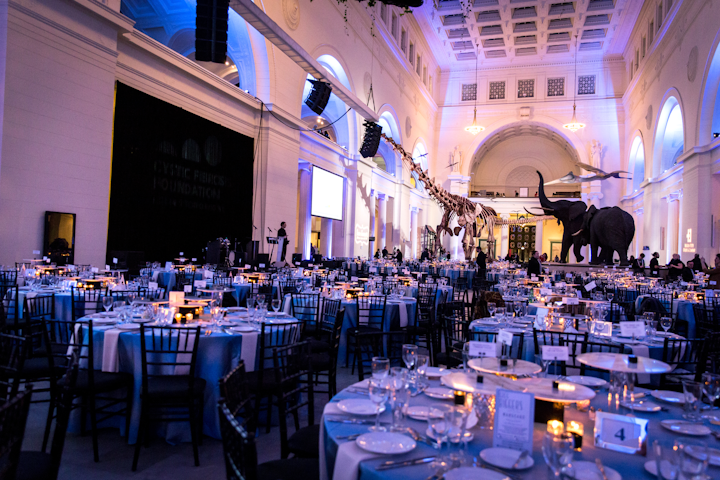 More than 600 guests attended this food-filled fund-raiser, which took place this year at the Field Museum and raised $260,000. The event offered 35 chef-tasting stations, table service from 15 local chefs, and a silent auction with culinary-theme offerings. There was more food and drink to come at an after-party called Nightcap, which served pastries and creative cocktails. Next: February 8, 2020