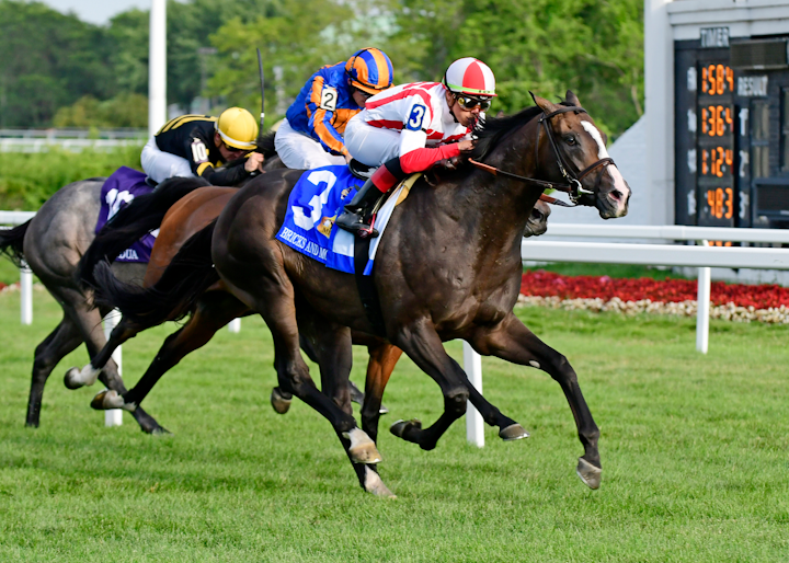 Around 20,000 international jockeys, horse owners, trainers, and fans make it out to this annual thoroughbred race, which offers a million-dollar purse. In 2019, the big winner was a horse named Bricks and Mortar, whose jockey was Irad Ortiz, Jr. Next: August 2020