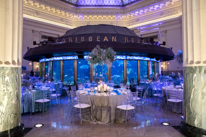 The 2019 event marked the 25th anniversary of this black-tie gala. Dubbed Reflections, the evening drew more than 630 guests and raked in $2 million for the Chicago institution. Highlights included animal encounters, oyster-shucking demos, and a seafood dinner. Next: Summer 2020
