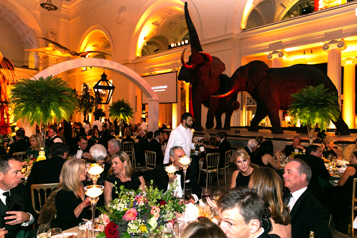 Last year’s glitzy benefit—which included cocktails, dinner, and dancing—raised $2.1 million for the Chicago institution. The event celebrated the museum’s 125th anniversary and drew roughly 600 guests. There was also a Gala After-Party, which members of the museum’s associate board were invited to attend. Next: October 19, 2019