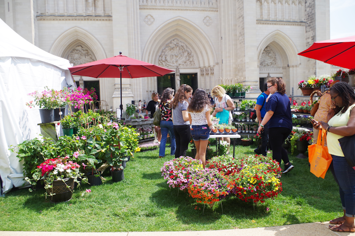 Among the prettiest of D.C.’s spring traditions, the annual flower mart serves as a fund-raiser for the cathedral’s gardens and grounds. Presented by the All Hallows Guild since 1939, the event continues to grow each year, now boasting more than 70 booths selling various flowers and gifts. Next: May 1-2, 2020
