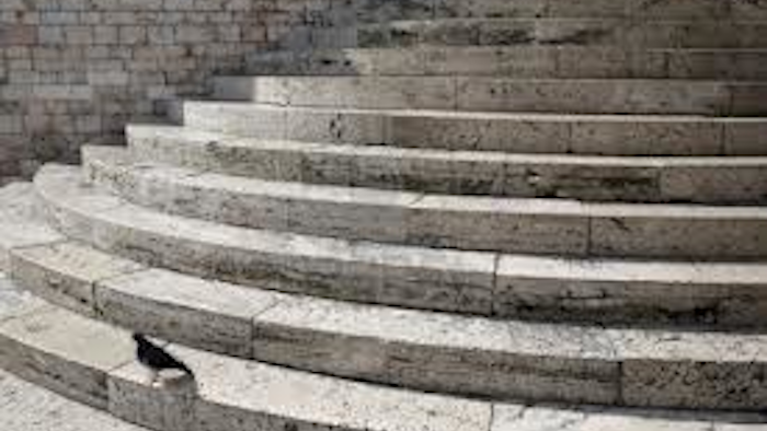 Id 1583 Steps
