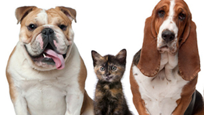 Mnet 142137 Pet Food Ingredients Lead