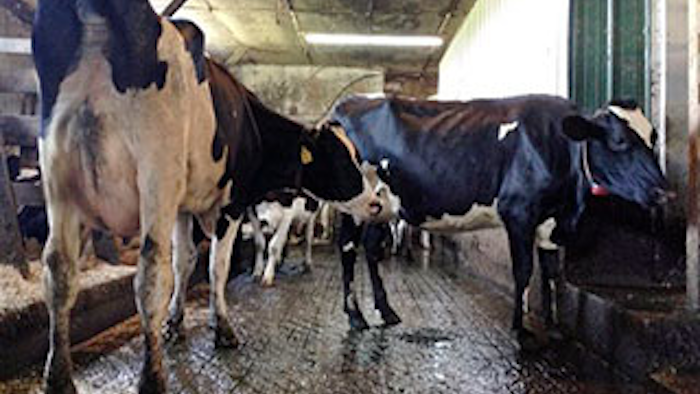 Mnet 146894 Dairyfarmroboticslead