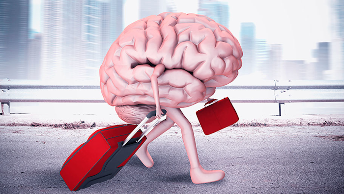 Mnet 193439 Brain Drain