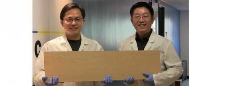 Liangbing Hu, left, and Teng Li, right, are engineers at the University of Maryland, College Park who have found a way to make wood more than 10 times stronger and tougher than before. Image credit: University of Maryland