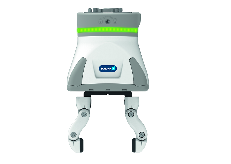 Schunk Sized