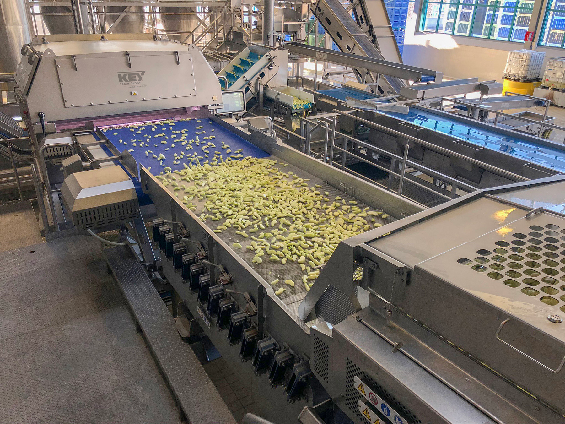 Key Apple Sorting System