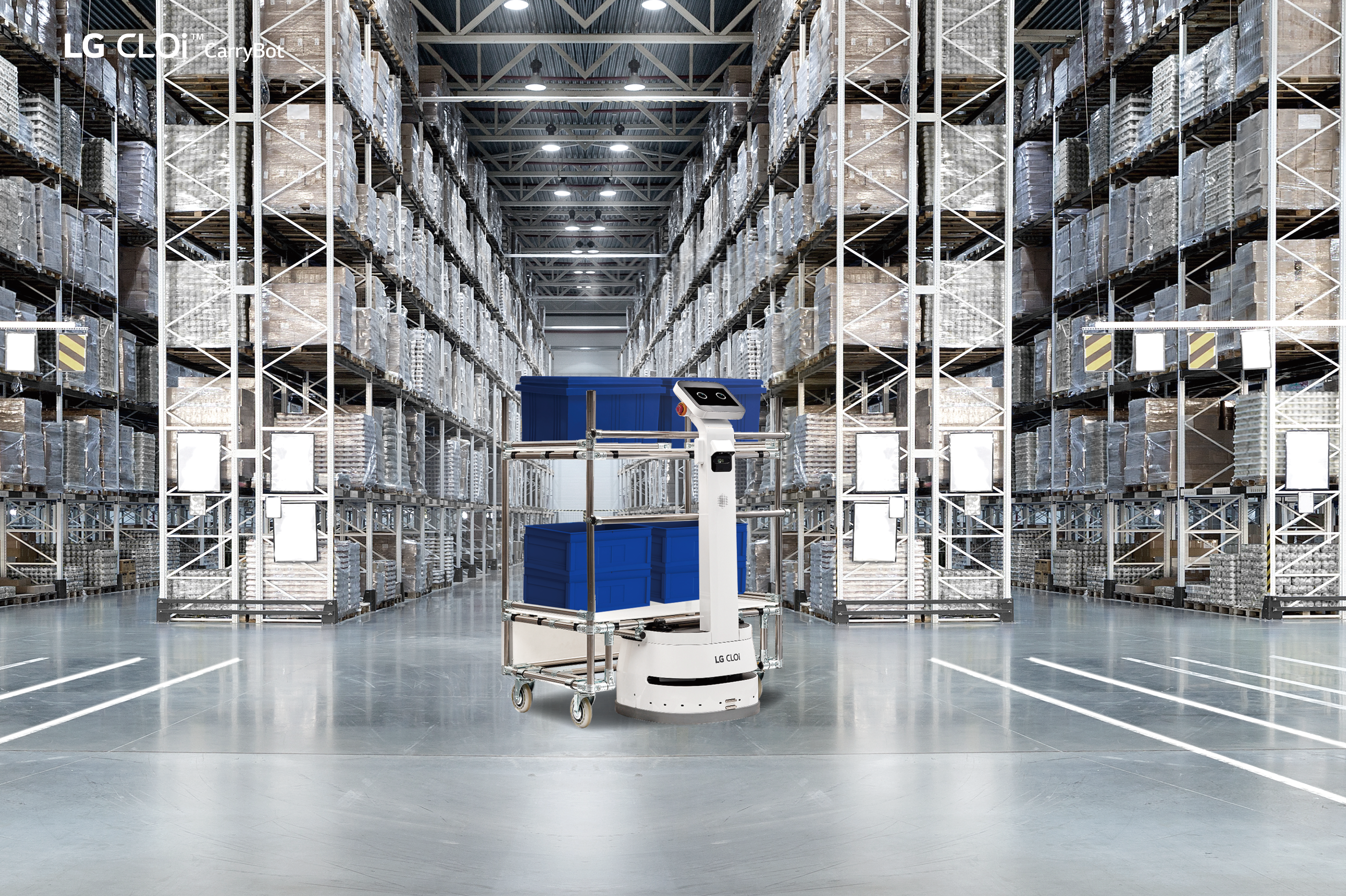 Lifestyle Carry Bot Warehouse3