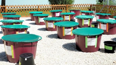 Outdoor experimental setup of artificial ponds (mesocosms) used for studying how aquatic microbes are affected by the effects of connectivity loss within habitat networks.