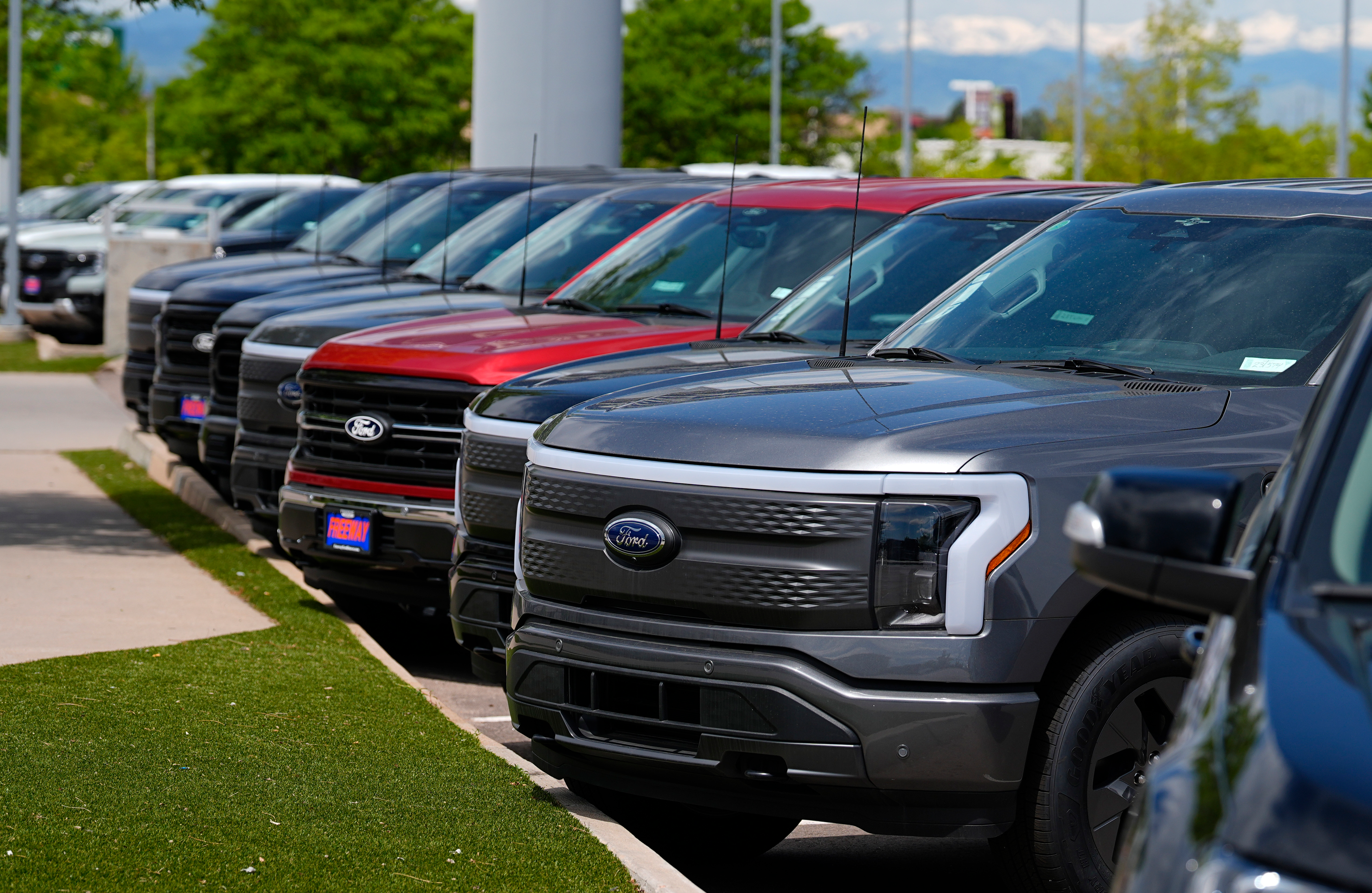 A line of unsold 2024 F150 and Lightning electric pickup trucks sit at a Ford dealership Sunday, May 19, 2024, in Denver.