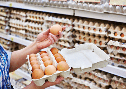080417 Cheap Eggs Flood Us